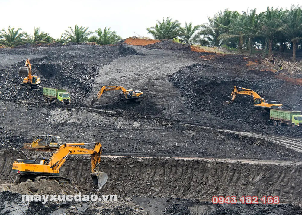 Các dòng máy xúc Hyundai phổ biến: Cách phân loại và lựa chọn
